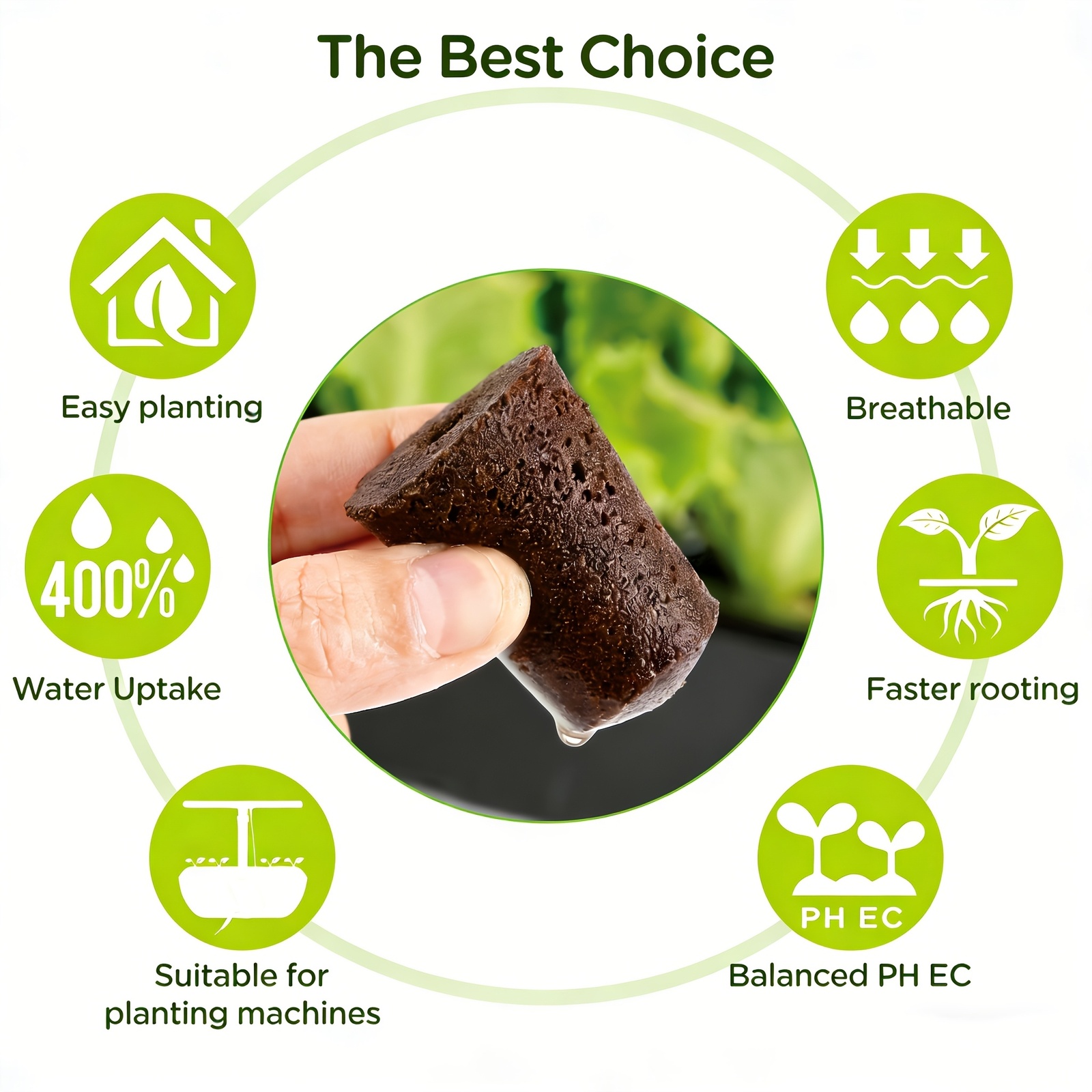 Spons Penutup Tanaman untuk Pe - Eco Sponge ulasan dan harga